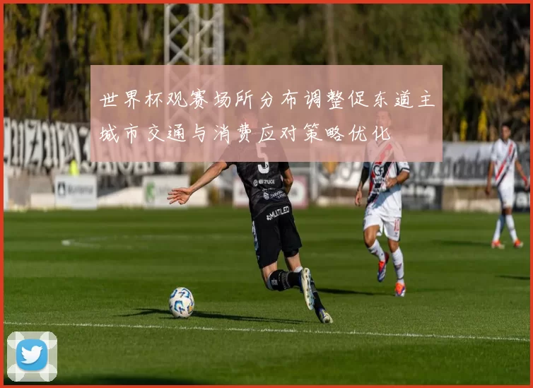 世界杯观赛场所分布调整促东道主城市交通与消费应对策略优化